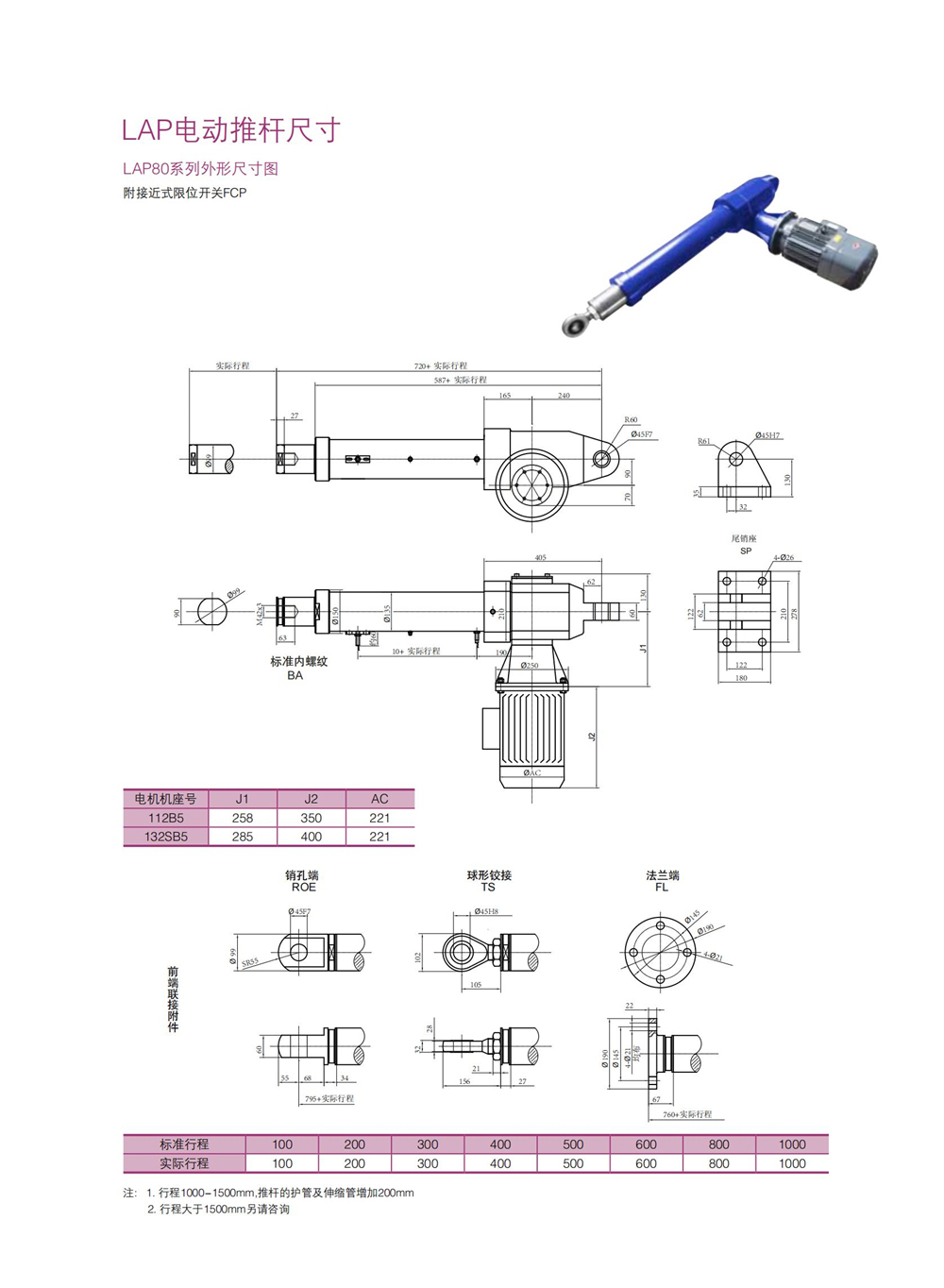 LAP (13).jpg